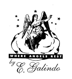 WHERE ANGELS REST BY E. GALINDO logo
