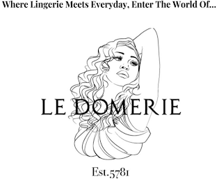 WHERE LINGERIE MEETS EVERYDAY, ENTER THE WORLD OF... LE DOMERIE EST.5781 logo