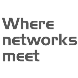 WHERE NETWORKS MEET logo