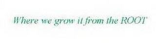 WHERE WE GROW IT FROM THE ROOT logo