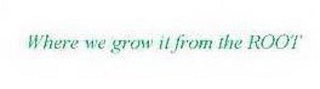 WHERE WE GROW IT FROM THE ROOT logo