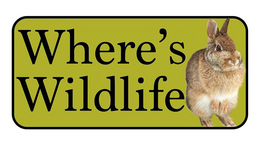 WHERE'S WILDLIFE logo