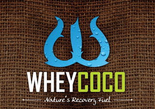 WHEY COCO NATURE'S RECOVERY FUEL logo