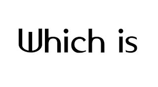 WHICH IS logo