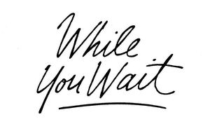 WHILE YOU WAIT logo