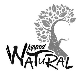 WHIPPED NATURAL logo