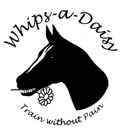 WHIPS-A-DAISY TRAIN WITHOUT PAIN logo