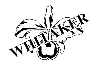 WHITAKER logo