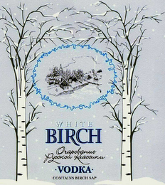 WHITE BIRCH VODKA CONTAINS BIRCH SAP OCHAROVANIE RUSSOKI CLASSIKI logo