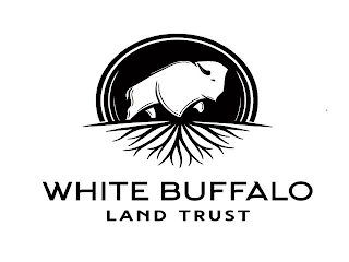 WHITE BUFFALO LAND TRUST logo