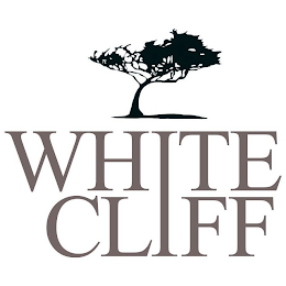 WHITE CLIFF logo