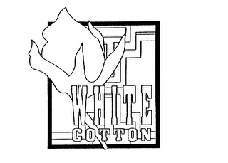 WHITE COTTON logo