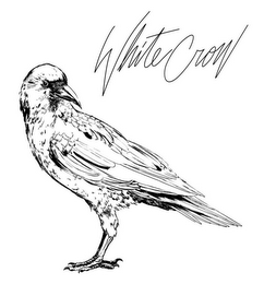 WHITE CROW logo