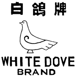 WHITE DOVE BRAND logo
