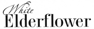 WHITE ELDERFLOWER logo