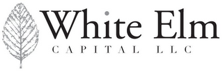 WHITE ELM CAPITAL LLC logo