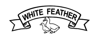 WHITE FEATHER logo