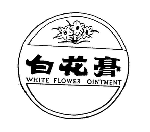 WHITE FLOWER OINTMENT logo
