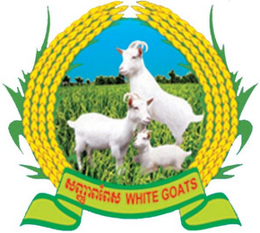 WHITE GOATS logo