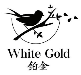 WHITE GOLD logo