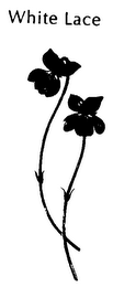 WHITE LACE logo