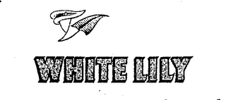 WHITE LILY logo