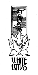 WHITE LOTUS logo