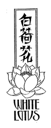 WHITE LOTUS logo