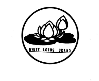 WHITE LOTUS BRAND logo