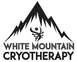 WHITE MOUNTAIN CRYOTHERAPY logo