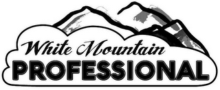 WHITE MOUNTAIN PROFESSIONAL logo