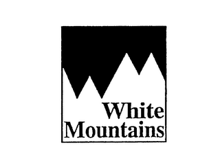 WHITE MOUNTAINS logo