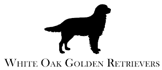 WHITE OAK GOLDEN RETRIEVERS logo