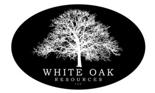 WHITE OAK RESOURCES LLC logo