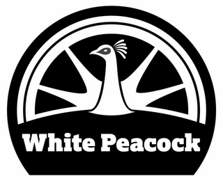 WHITE PEACOCK logo