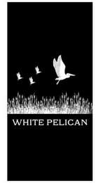 WHITE PELICAN logo