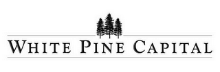 WHITE PINE CAPITAL logo