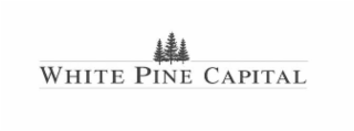 WHITE PINE CAPITAL logo