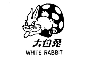WHITE RABBIT logo