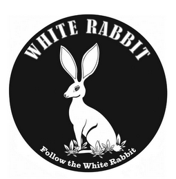 WHITE RABBIT FOLLOW THE WHITE RABBIT logo