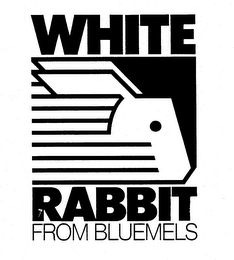 WHITE RABBIT FROM BLUEMELS logo