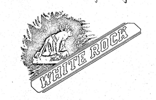 WHITE ROCK logo