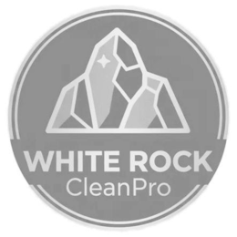 WHITE ROCK CLEANPRO logo