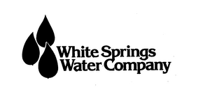 WHITE SPRINGS WATER COMPANY logo