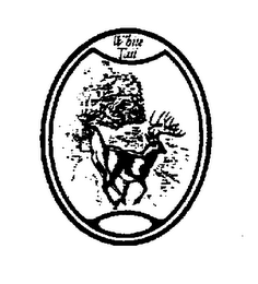 WHITE TAIL logo