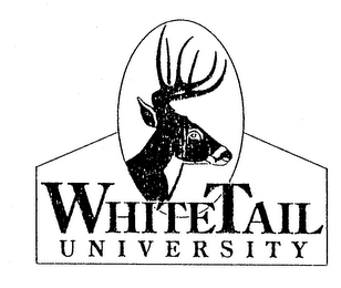 WHITE TAIL UNIVERSITY logo