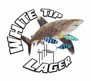 WHITE TIP LAGER logo
