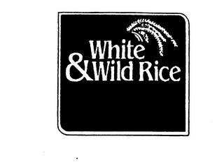 WHITE & WILD RICE logo