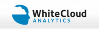 WHITECLOUD ANALYTICS logo