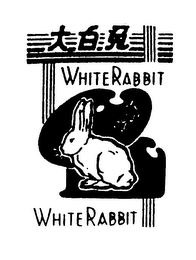 WHITERABBIT logo
